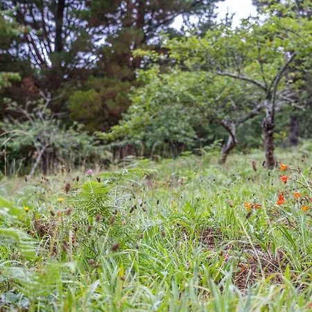 Casa Dos Castanheiros Дом отдыха Камаша