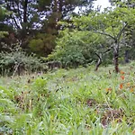 Casa Dos Castanheiros Prázdninový dům Camacha (Madeira)