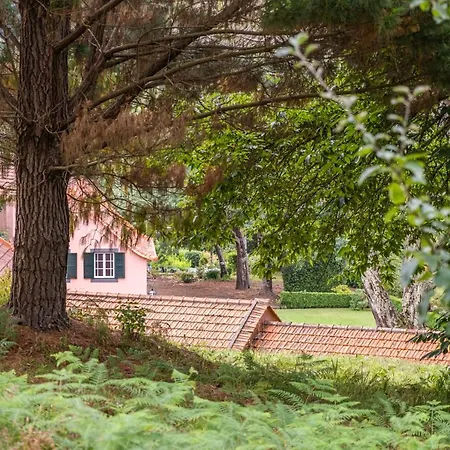 Casa Dos Castanheiros * Camacha (Madeira)