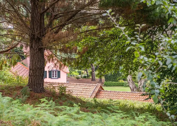 Casa Dos Castanheiros * Camacha (Madeira)