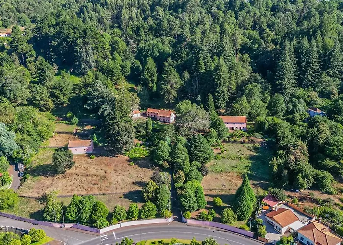 Casa Dos Castanheiros * Camacha (Madeira)