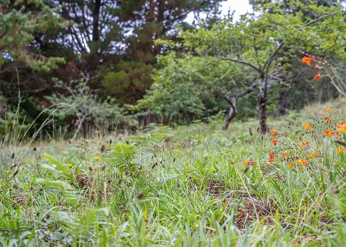 Casa Dos Castanheiros Casa vacanze Camacha (Madeira)