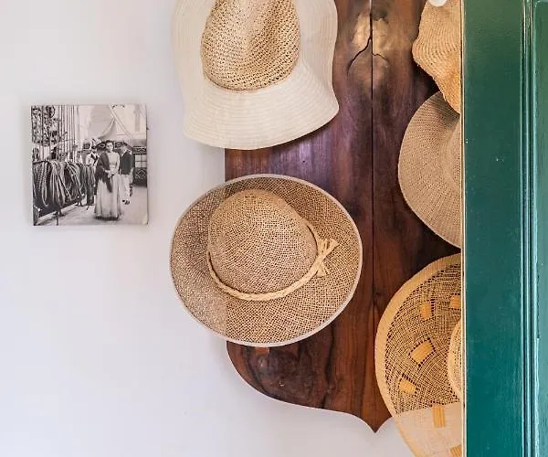 Casa Dos Castanheiros *